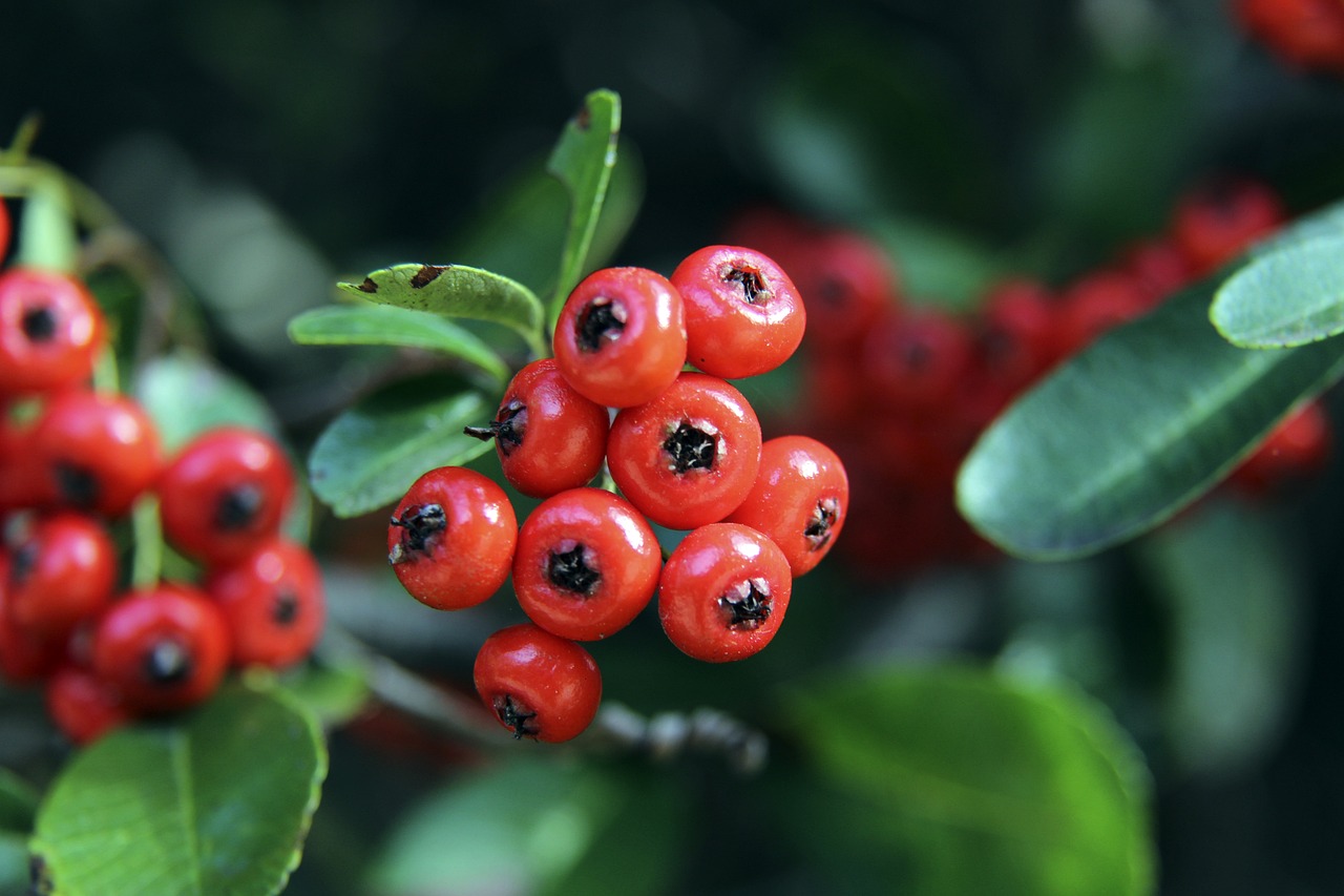 阿森纳在三 阿森纳在三