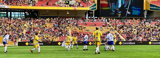 应训练的视 应训练的视