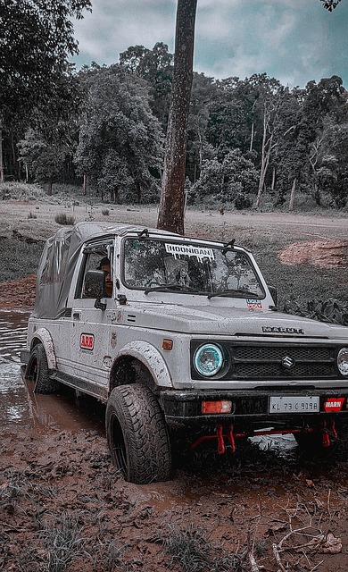 他国家借鉴 他国家借鉴